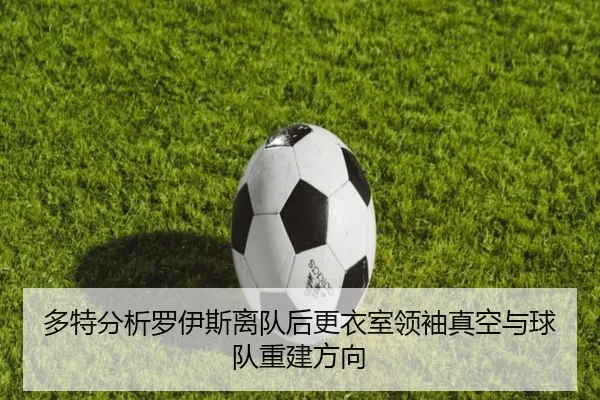 多特分析罗伊斯离队后更衣室领袖真空与球队重建方向（kaiyun）